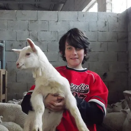 Appartement Al Monte