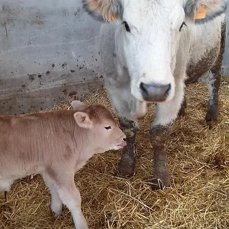 Appartement Al Monte