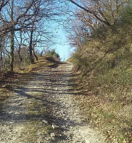 Апартаменты Al Monte *