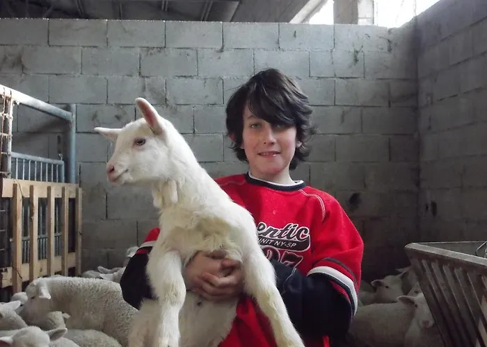 Апартаменты Al Monte