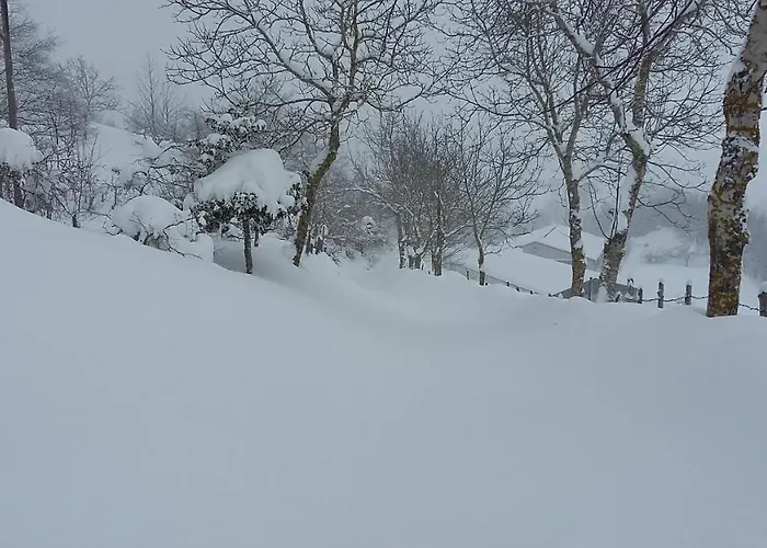 Al Monte سان بييرو في بانيو