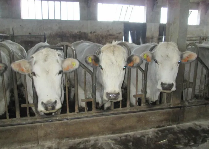 Al Monte Апартаменты Сан-Пьеро-ин-Баньо