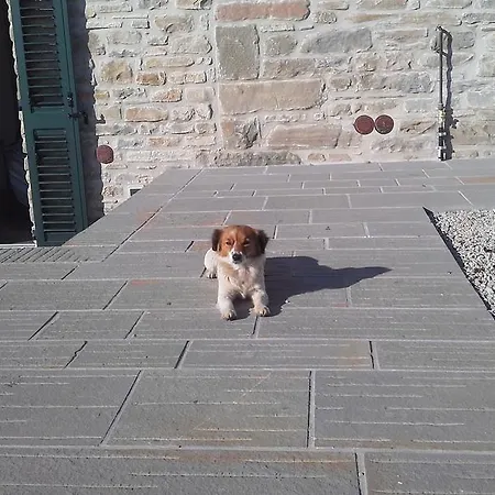 Appartement Al Monte *