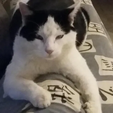 Al Monte * סן פיירו אין בניו