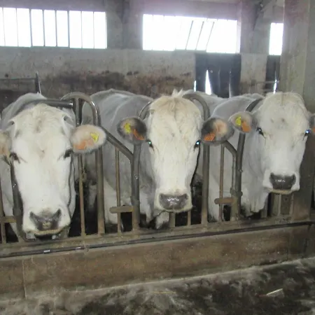 Al Monte דירה סן פיירו אין בניו