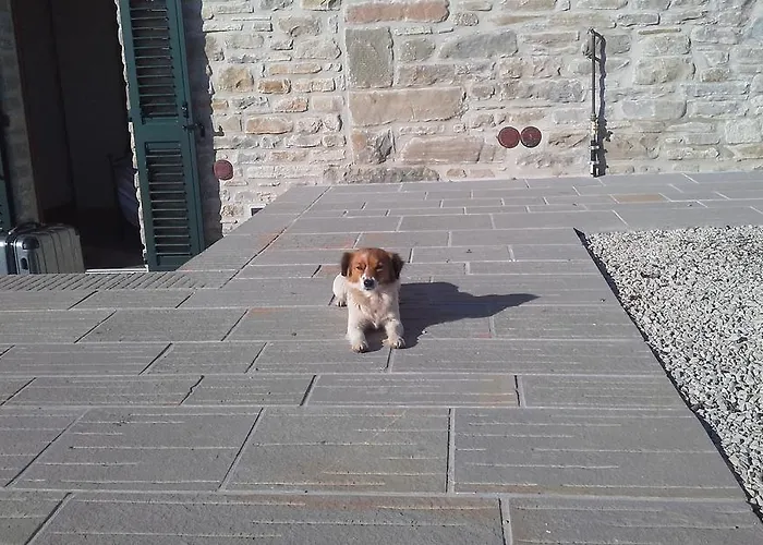 Lägenhet Al Monte *