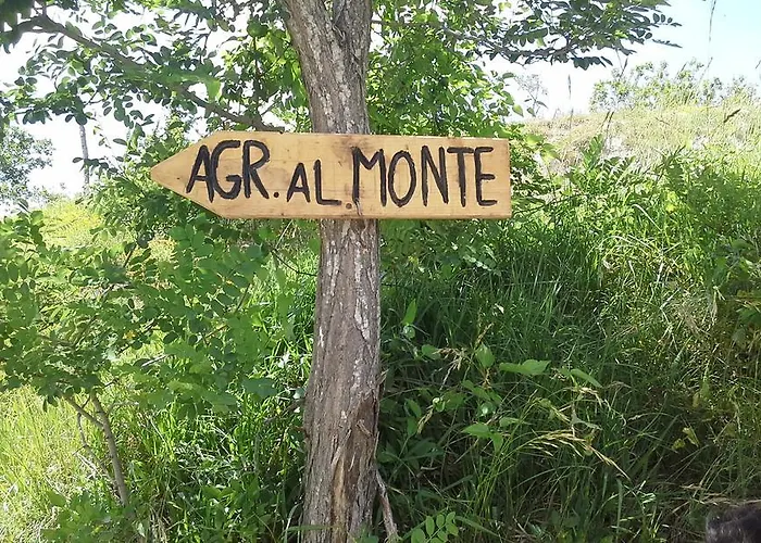 Apartamento Al Monte