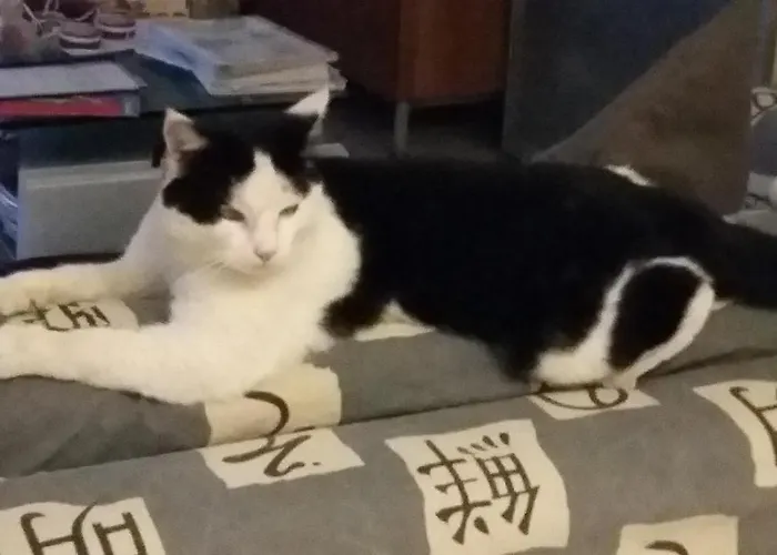 Al Monte Διαμέρισμα