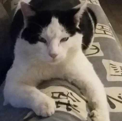 Al Monte * San Piero in Bagno